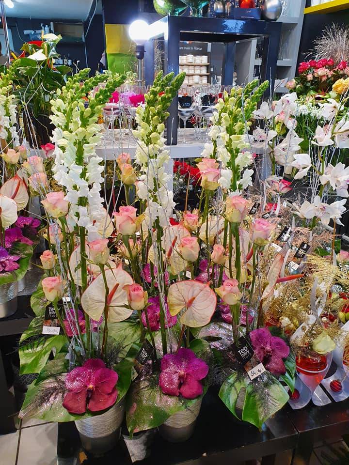 Ted'Mery Flore - Nos orchidées